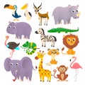 Big collection wild animals Royalty Free Stock Photo